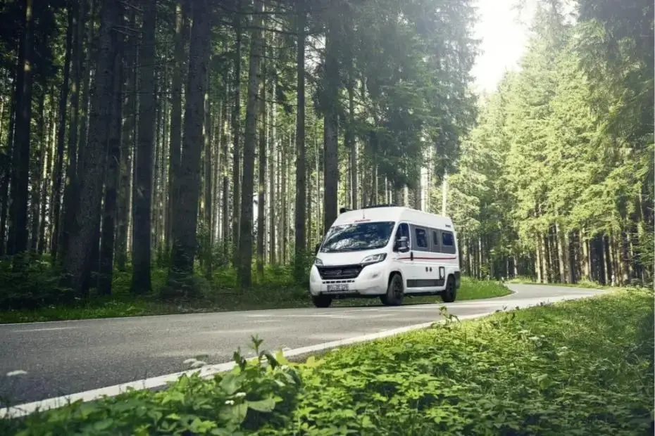 Wohnmobil fährt auf einer Straße durch den Wald zum Thema Nachhaltig campen mit dem Wohnmobil